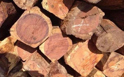 緬甸花梨越來越受消費者青睞的原因在哪？